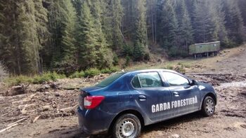 Garda Forestieră va fi reorganizată