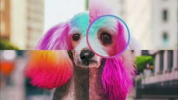 Cum verifici rapid dacă o imagine este generată cu inteligență artificială: noul instrument Google care te ajută să (…)