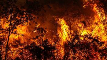 Tragedie în Spania! Român carbonizat în incendiile de lângă Madrid. Detalii cutremurătoare