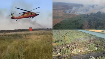 Incendiu puternic în Delta Dunării! Ard peste 1.300 de hectare de vegetație și 80 de hectare de pădure