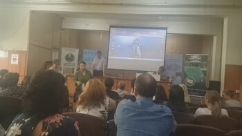 Titularii din Educație rămași fără ore s-ar mulțumi cu orice. „Muzică ați mai predat?”/„Mi se pare «Wow» ce li se (…)
