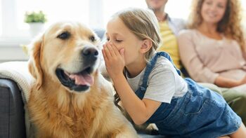 Comunicarea dintre oameni și animale, mai aproape de realitate ca niciodată. Cum ajută inteligența artificială să (…)