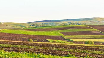 Se schimbă legea proprietății în România! Cetățenii care vor putea solicita până la 50 de hectare de teren!