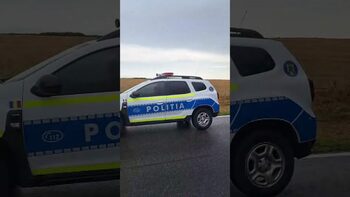 Vijelie în Craiova şi în mai multe localităţi din Dolj. Copaci căzuţi pe carosabil