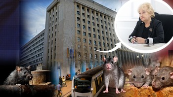 Din Palat, în subteran. Se caută birouri pentru conducerea Metrorex, în stații: „Doamna directoare Miclăuș o să (…)