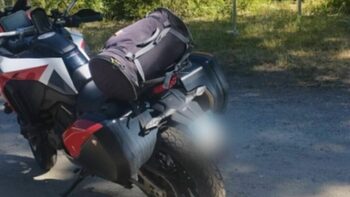 Un motociclist din Italia a murit, după ce a fost atacat de un urs pe Transfăgărășan. Romsilva: zona, suprapopulată (…)