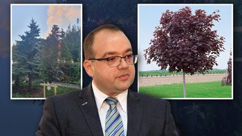 Cum s-a sucit Naumescu de când a ajuns consilierul lui Nicușor Dan, în evaluarea președintelui SUA. De la “incultul” (…)