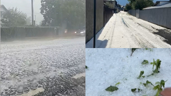 Județul Neamț, măturat de vijelii! Grindina în cantități însemnate a făcut ravagii și a distrus culturile localnicilor