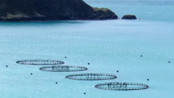 Norvegia angajează români cu salarii de peste 3.000 de euro