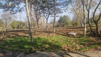 Zi importantă pentru cel mai tânăr parc din București: se amenajează în următorul an sau pierde primăria terenul, (…)