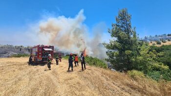 Pompierii greci se luptă cu incendii ample de vegetaţie pe insula Chios