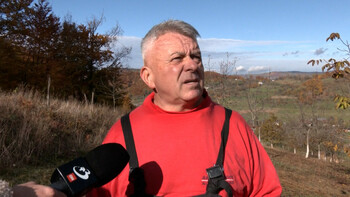 Fructul care a devenit o marfă rară. Miezul se vinde cu 50-55 de lei kilogramul