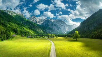 Reguli esențiale pentru românii care merg în Slovenia! Totul despre limitele de viteză, vignete și reglementările de (…)
