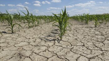 Ministrul Mediului: Peste 100.000 de hectare s-au transformat în deşert sau urmează să se deşertifice
