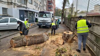 Sectorul 2: Unde s-a intervenit în această săptămână pentru lucrări de curățenie și întreținere