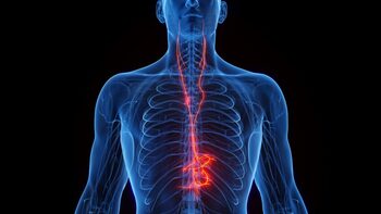 Studiu: Cum ne ajută stimularea nervului vag, combinată cu meditația?
