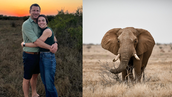 Un milionar a murit strivit de un elefant în propria rezervație din Africa de Sud! Omul de afaceri avea 39 de ani: (…)