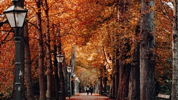 Meteorologii au actualizat prognoza meteo! Finalul lunii octombrie vine cu temperaturi neașteptate pentru această (…)