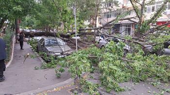 Capitala, sub cod roşu de viejlii: O femeie a murit în Otopeni. Temperatura a scăzut cu 12 grade