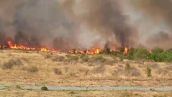 Incendiu devastator în Gorj: sute de hectare mistuite, locuitorii fug cu copiii în brațe, voluntarii ajută cu (…)