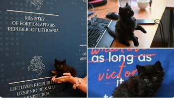 El este Rango, pisoiul adorabil care a primit o funcție de top în Ministerul Afacerilor Externe al Lituaniei. (…)