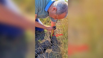 Silviu Gurlui, deputatul AUR de Iași: „Moldova între potop și uscăciune. Agricultura se stinge – iar Guvernul stă pe (…)