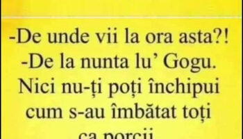 BANCUL ZILEI | Nunta lui Gogu