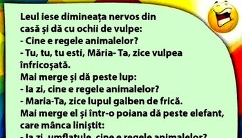 BANC | Leul iese dimineața nervos din casă