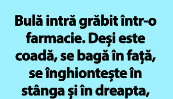 BANC | Bulă intră grăbit într-o farmacie