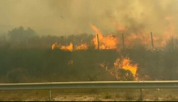 Românii din Lefkada se întorc acasă. Incendiile au pus stăpânire pe insula grecească: „Se simţea căldura în maşină”. (…)