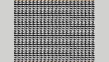 Test de inteligență | Identificați cifra 8 „camuflată” printre 9!