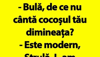 BANC | Cocoșul modern al lui Bulă