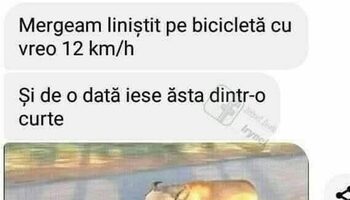 BANCUL ZILEI | „Mergeam liniștit cu bicicleta”