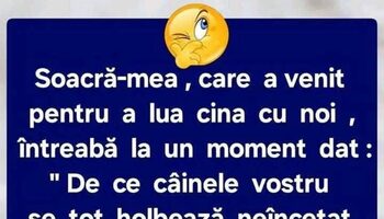 Bancul sfârșitului de săptămână | Soacra și câinele