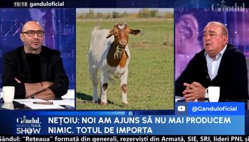 România, grânarul Europei, poate hrăni 100 de milioane de oameni. Ce spune Gigi Nețoiu, investitor în agricultură