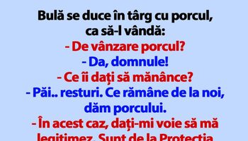 BANC | Bulă, porcul și Protecția Animalelor
