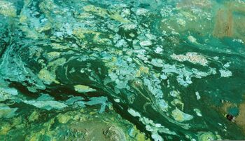 Ce fenomen a întârziat oxigenarea Pământului cu un miliard de ani?