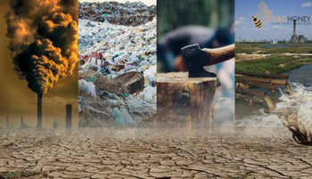 „Dezinformare climatică”: gândește greșit, plătești scump