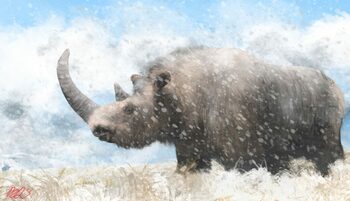 Cel mai lung corn de rinocer lânos găsit vreodată, recuperat din permafrostul siberian