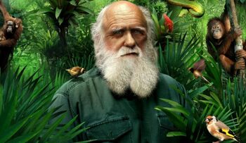 24 noiembrie în oglinda istoriei: evenimente, descoperiri și transformări care au modelat lumea