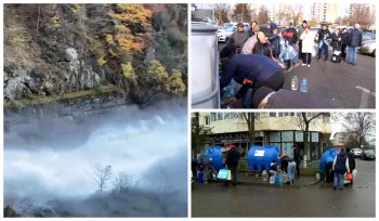 Autoritățile își pasează vina în cazul Paltinu 