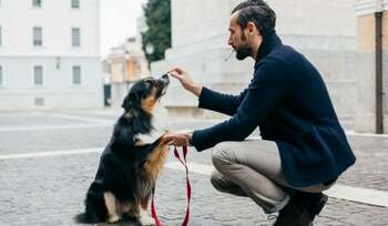 Cum ajunge fumatul pasiv să îmbolnăvească animalele de companie. Avertismentul medicilor veterinari