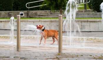 Europa se usucă: record total de 46,6°C în Portugalia. Marți va fi și mai cald în unele țări