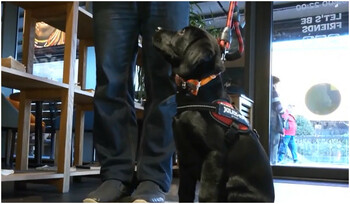 Oraşul din România care devine tot mai 