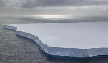 Un iceberg gigant vechi de 39 de ani se topește în largul Antarcticii