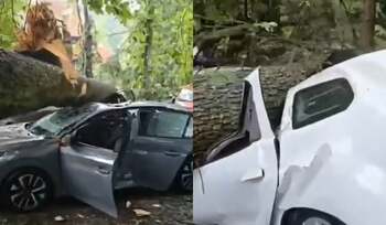Noi imagini după prăpădul din Sinaia: mașini făcute praf de copacii puși la pământ de furtună, lângă Castelul Peleș