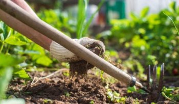 O categorie de români scutită până acum de taxe va plăti impozit din 2026: „E strigător la cer!”