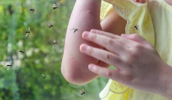 Gata cu mușcăturile! Cum să îți protejezi pielea de insecte vara, la mare