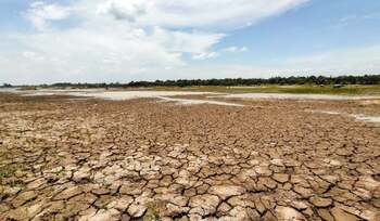 În sudul României, peste 100.000 de hectare s-au transformat în deşert sau urmează să se deşertifice. Ce e de făcut