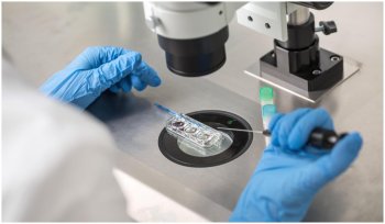 Donator cu genă cancerigenă, tată pentru aproape 200 de copii în Europa. Unii dintre ei au murit deja